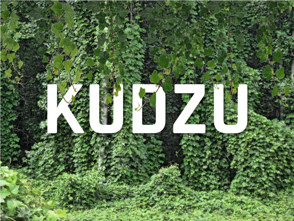 Kudzu skutecznym sposobem na nałogi?